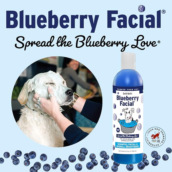 Showseason Blueberry Facial® Shampoo, Blueberry-Clove Conditioner