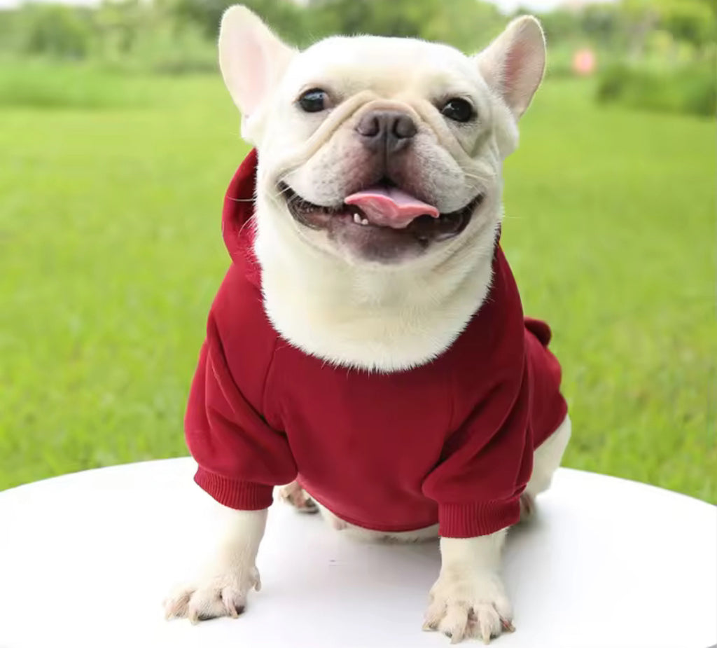 Sweatshirt Hoodie with Pockets