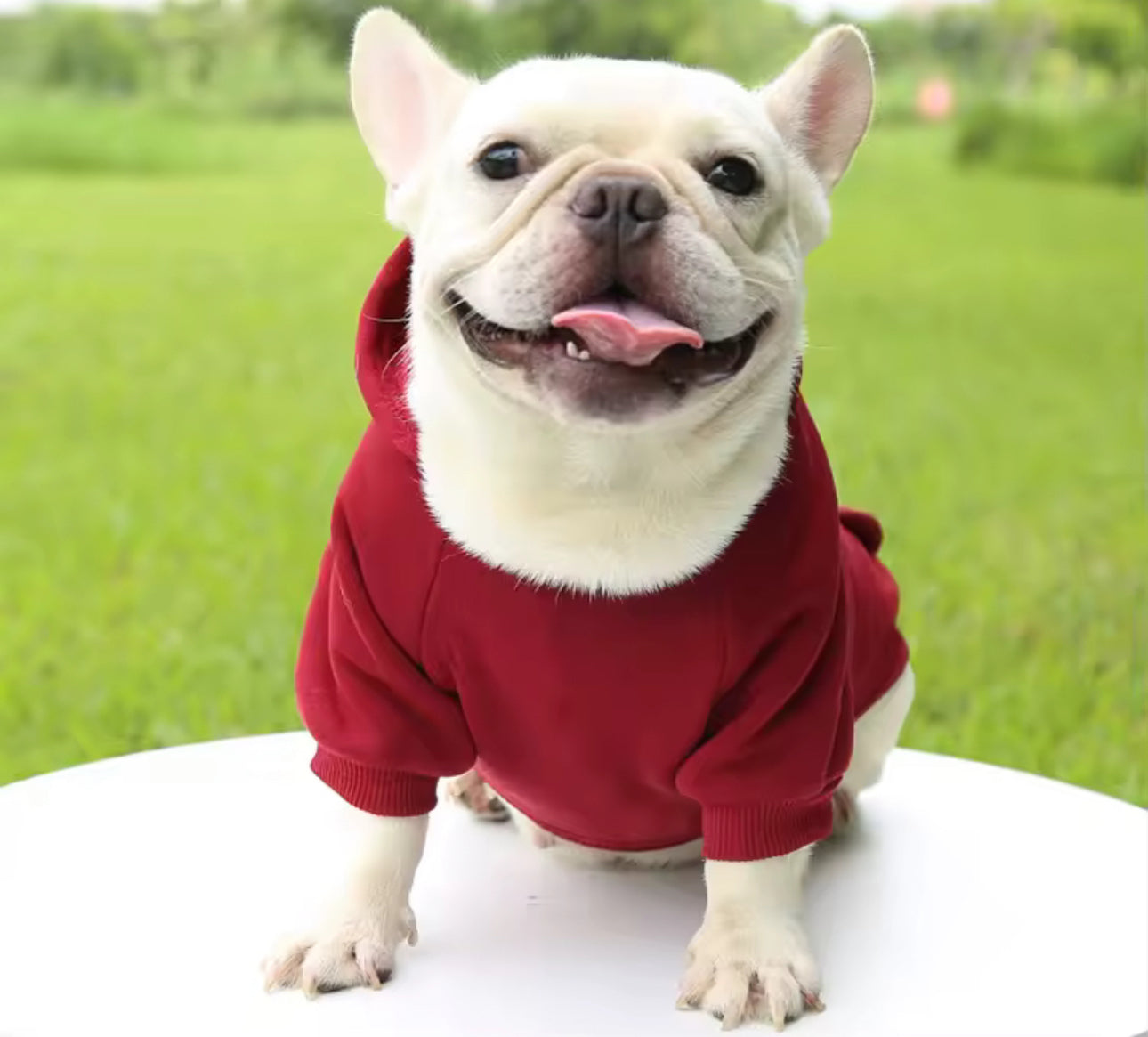 Sweatshirt Hoodie with Pockets