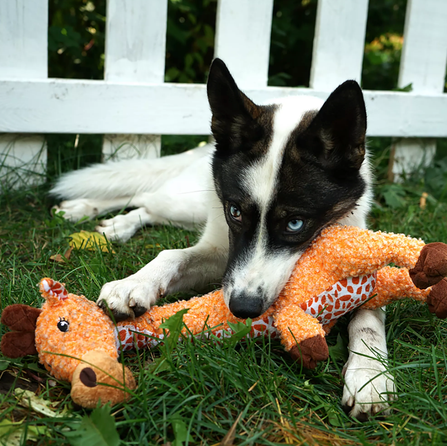 KONG Shakers Luvs Giraffe Extra Long Squeaky Shaker Dog Toy (CHOOSE SIZE)