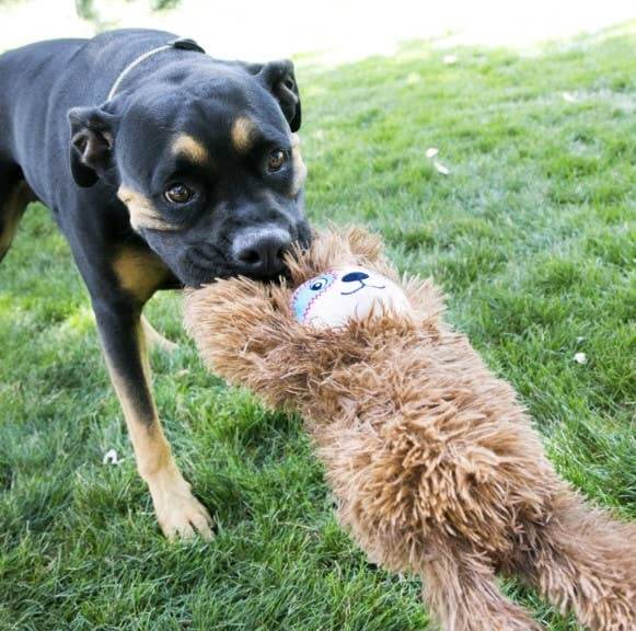 KONG Tuggz Sloth Oversized Plushy Crinkly Squeaky Dog Toy - XL 16.5"