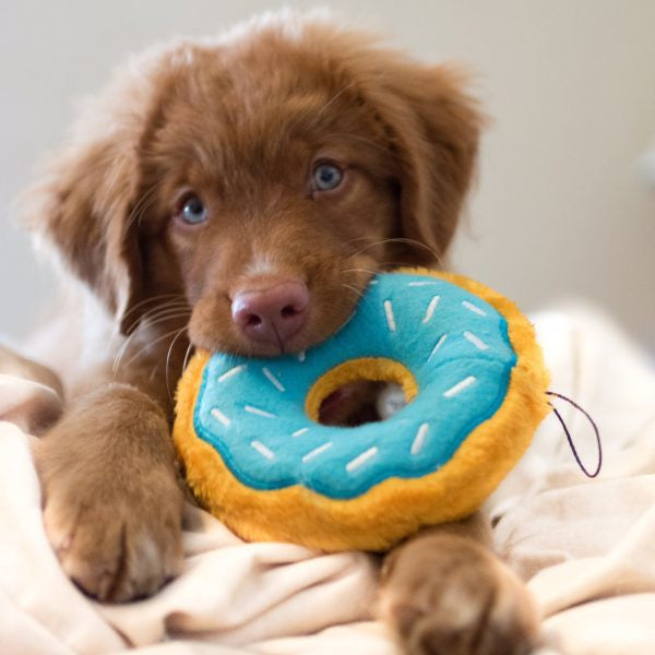 Zippy Paws NomNomz® Donutz Toy