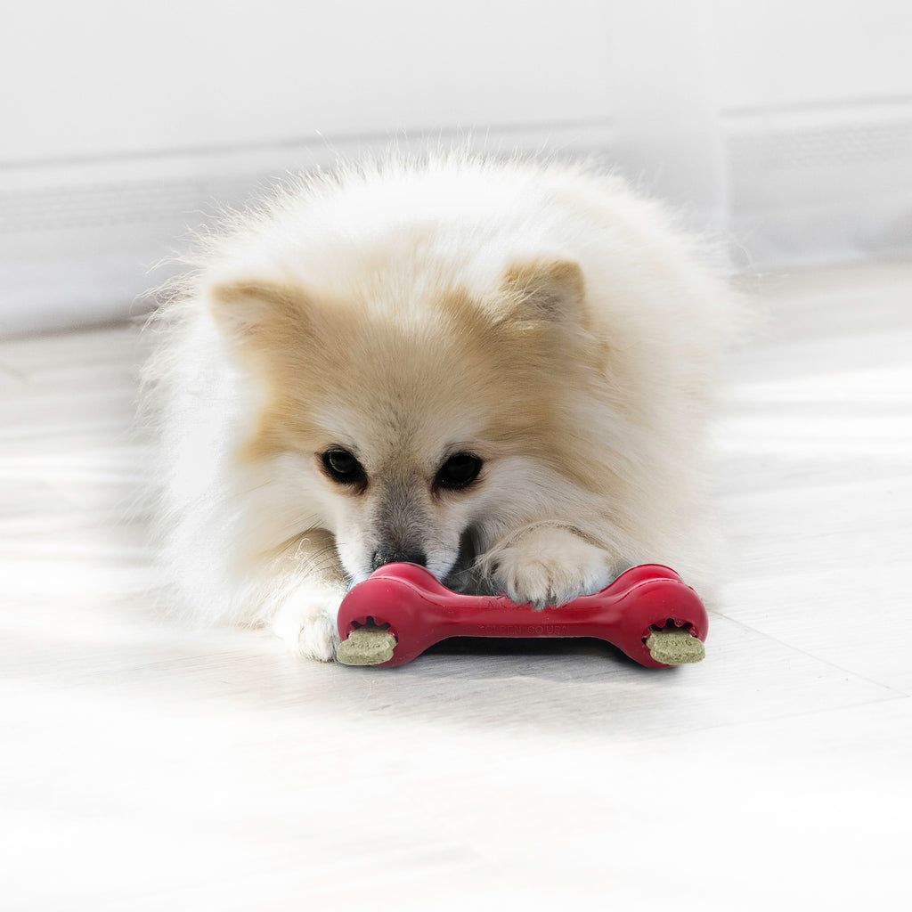 KONG Red Goodie Bone - Treat Stuffable Dog Chew Toy (CHOOSE SIZE)