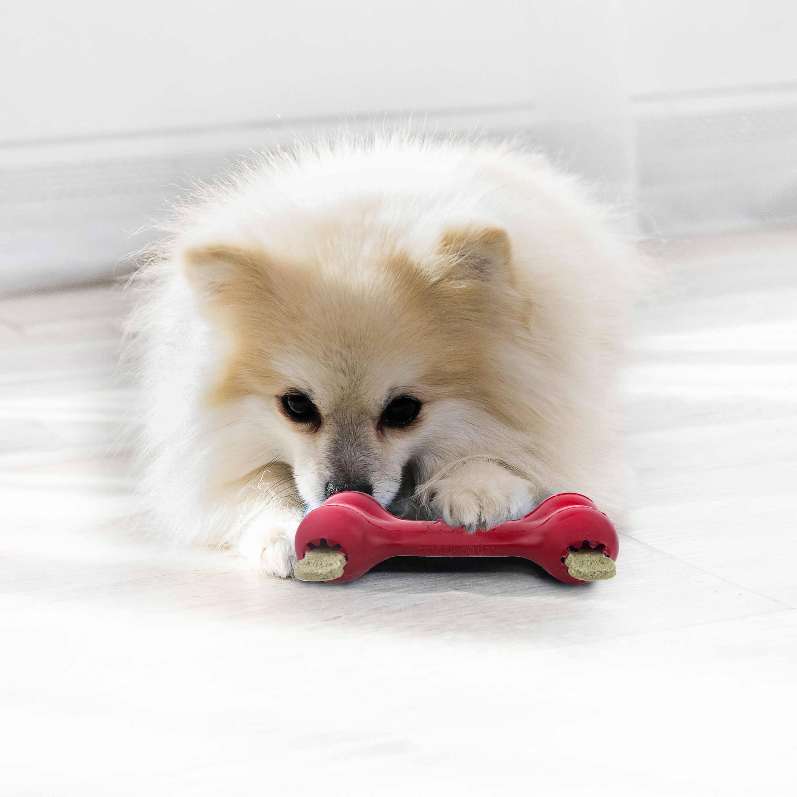 KONG Red Goodie Bone - Treat Stuffable Dog Chew Toy (CHOOSE SIZE)