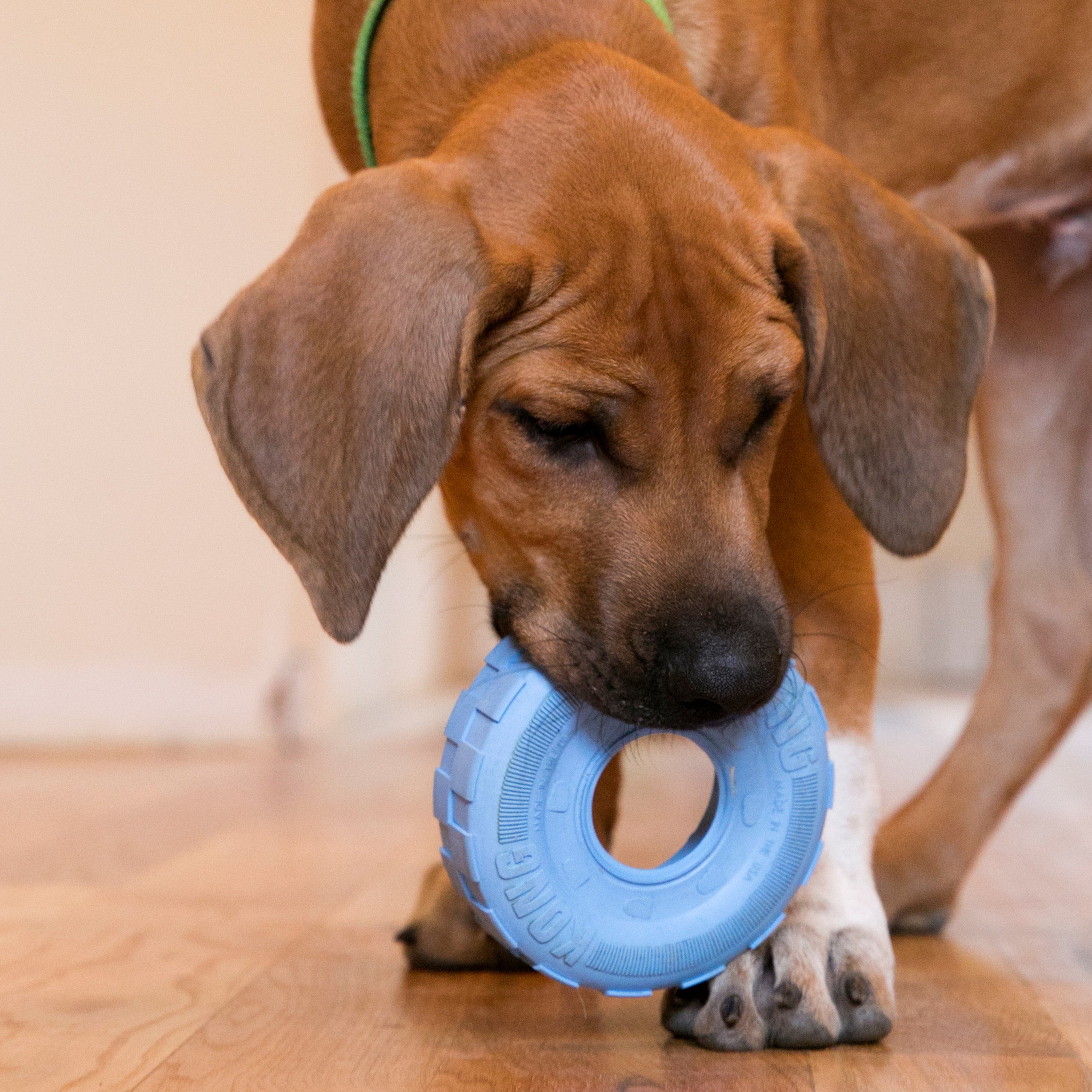 KONG Puppy Tires Super Durable Dog Fetch Chew Toy (CHOOSE SIZE AND COLOR)