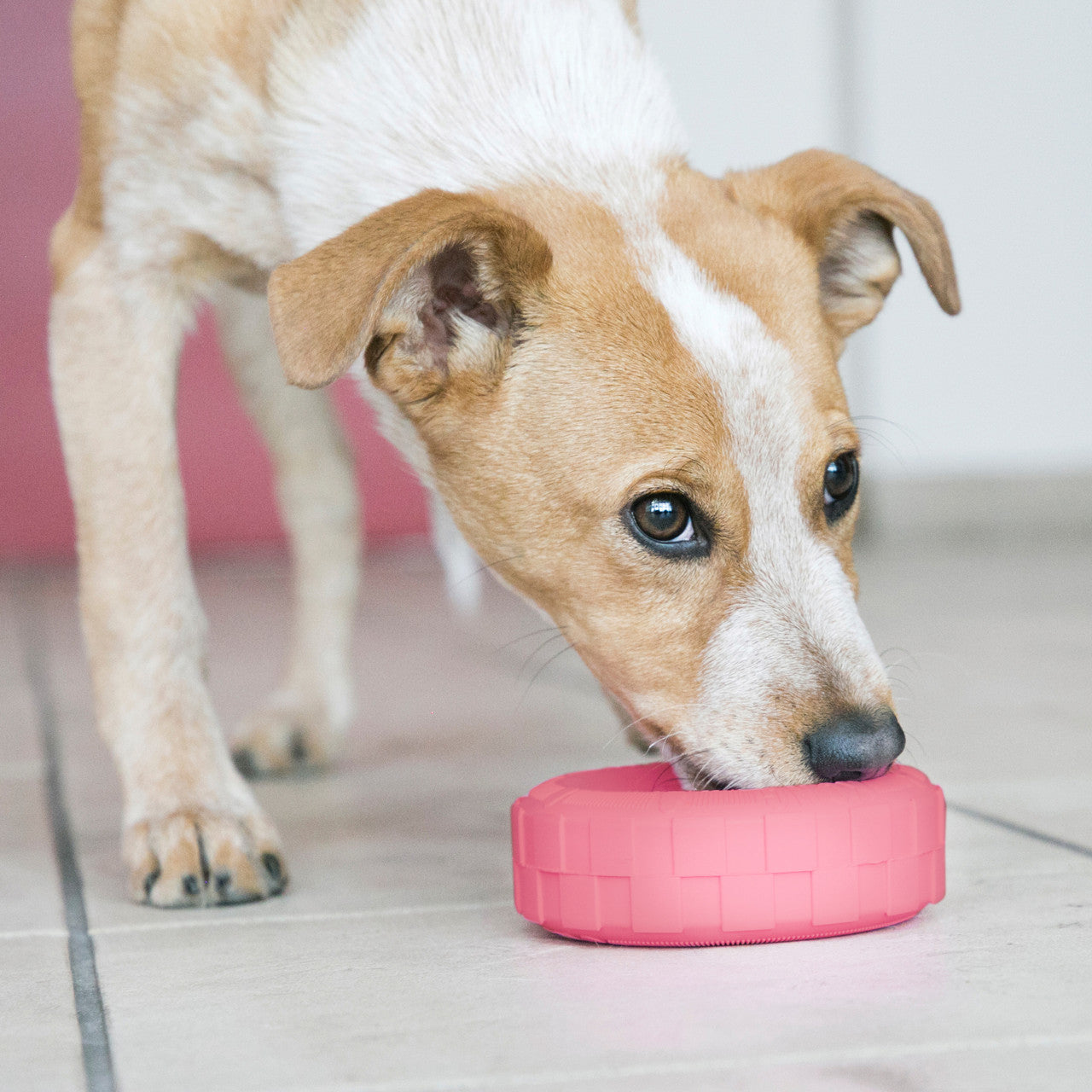 KONG Puppy Tires Super Durable Dog Fetch Chew Toy (CHOOSE SIZE AND COLOR)