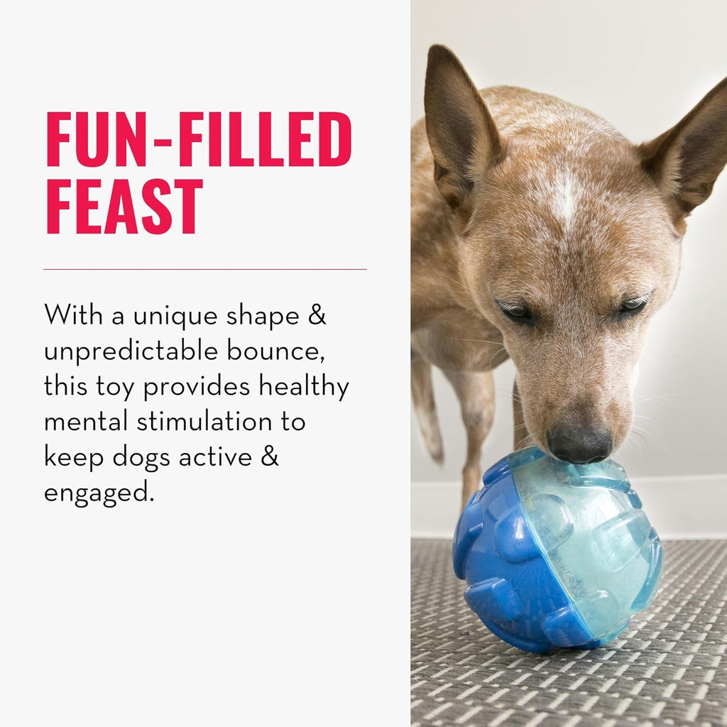 KONG Rewards Ball Long Lasting Treat Kibble Dispenser - Small 4"