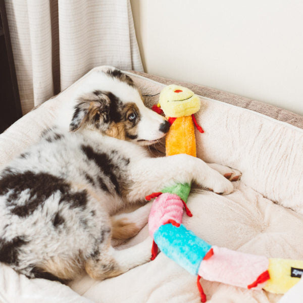 Zippy Paws - Caterpillar 6-Blaster Squeaker Toy