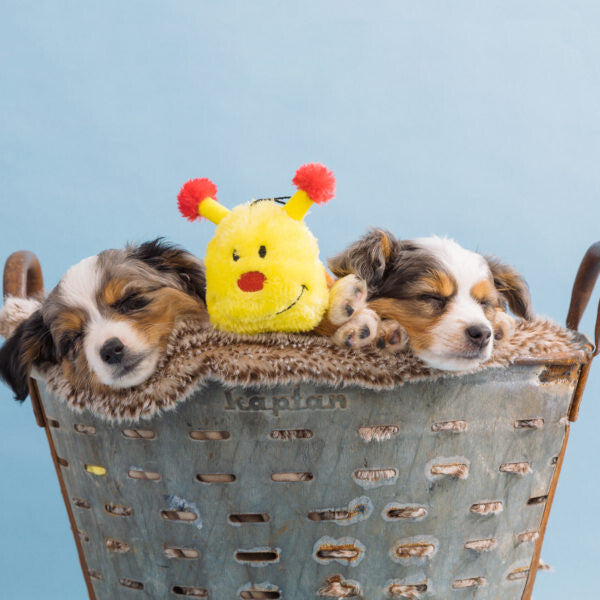 Zippy Paws - Caterpillar 6-Blaster Squeaker Toy