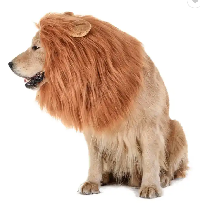 Halloween Costumes for Dogs