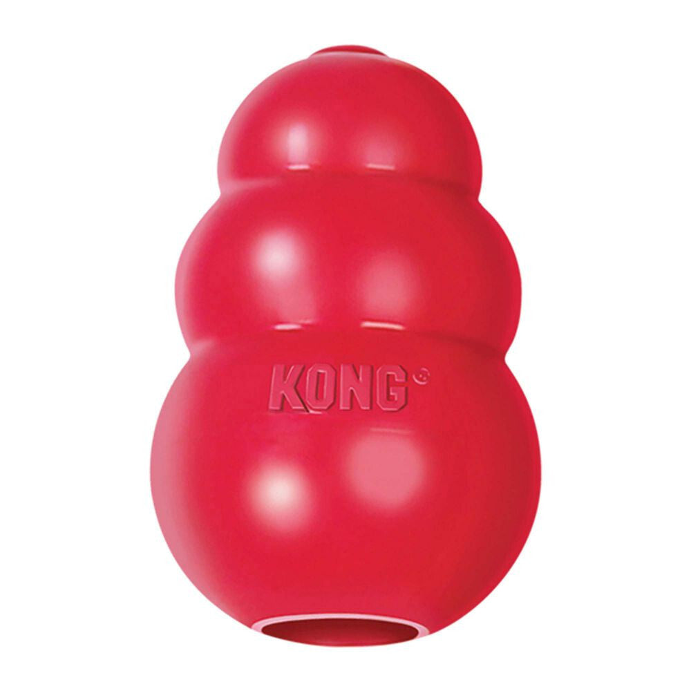 KONG Red Classic Rubber Chew Toy