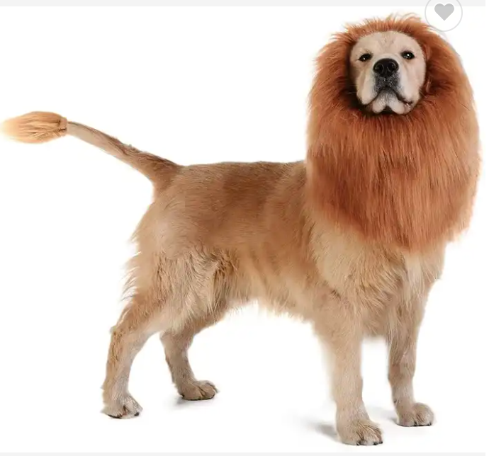 Halloween Costumes for Dogs