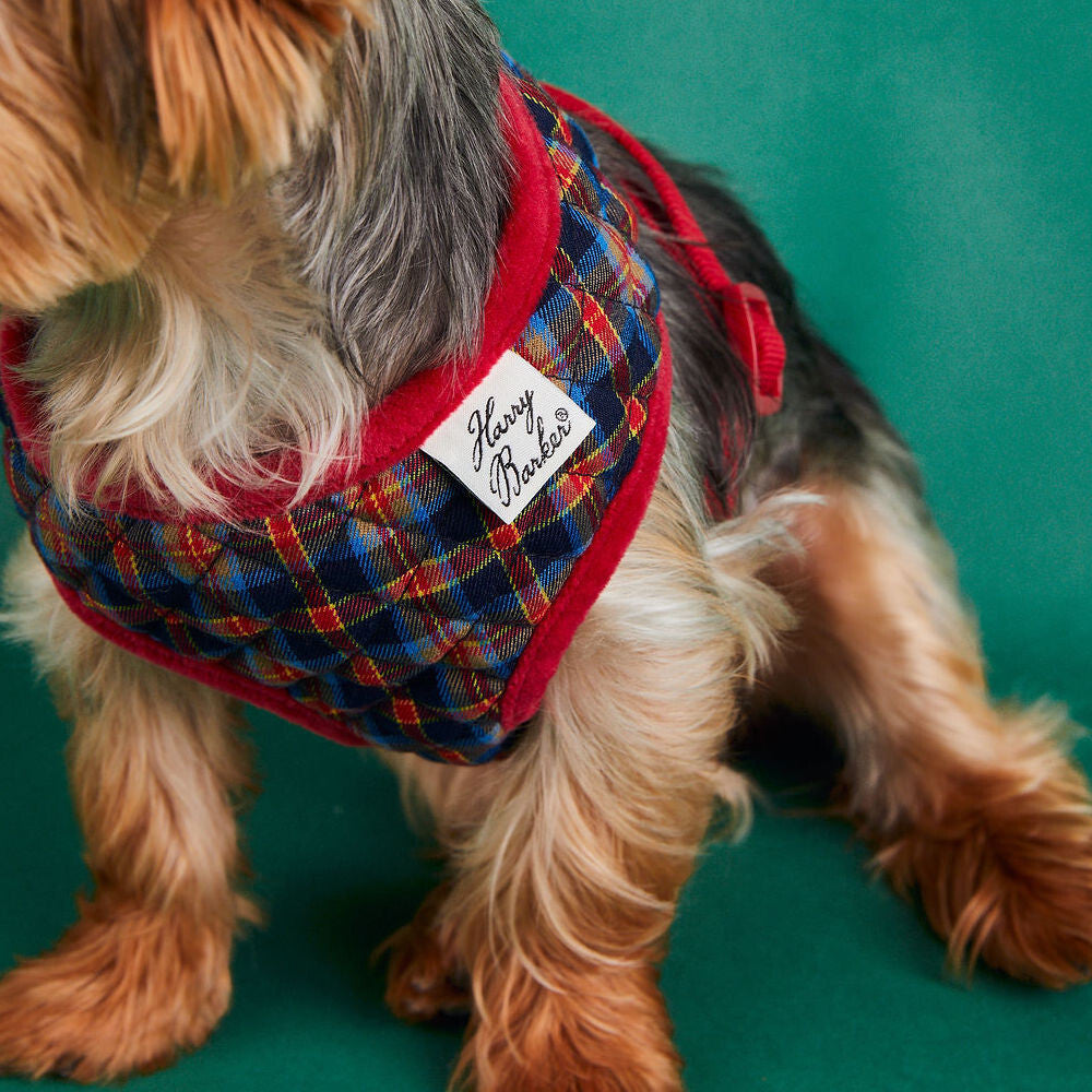 Quilted Plaid Harness