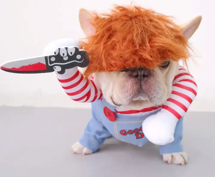 Halloween Costumes for Dogs
