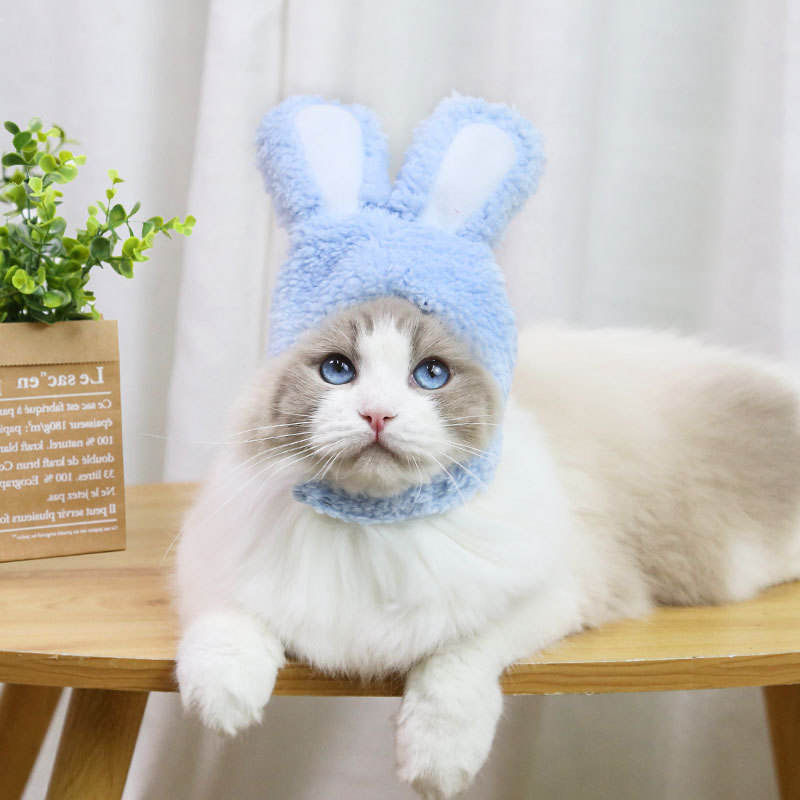 Bunny Ears For Small Cats & Kittens Easter (ONE SIZE)