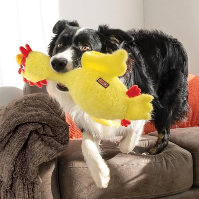 KONG Scruffs Chicken Plush Toy