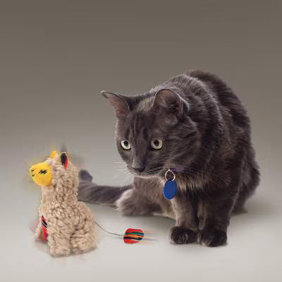 KONG Softies Buzzy Llama Cat 3"x2" Soft Crinkle Snuggly Catnip Toy